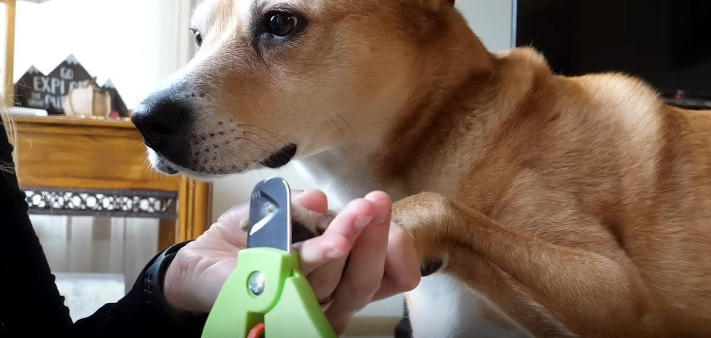Zen Clipper Precise Junior – Safe, Adjustable Nail Clipper for All Sizes of Pets.