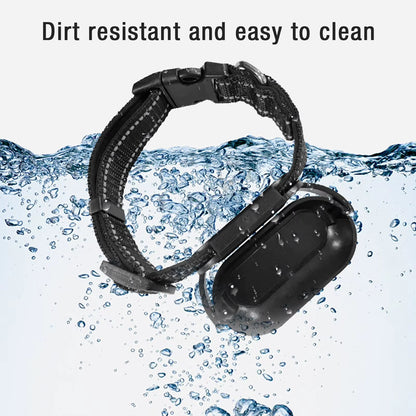 Pet Collar Camera with 120° Wide-Angle Lens – HD Video & Photo Recording, OTG Phone Connection, Adjustable Collar & Magnetic Clip