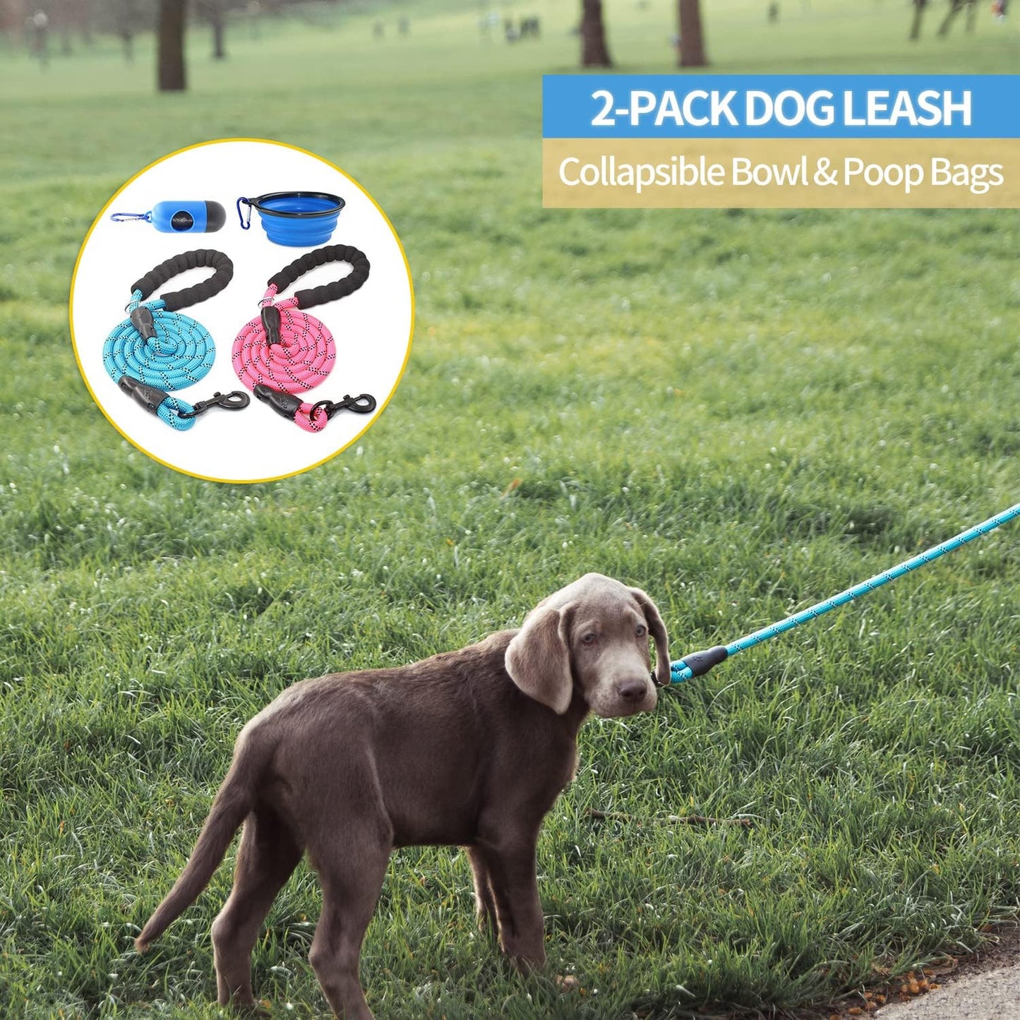 BAAPET Heavy Duty Dog Leash – 2 Pack Medium to Large Dogs with Bonus Accessories