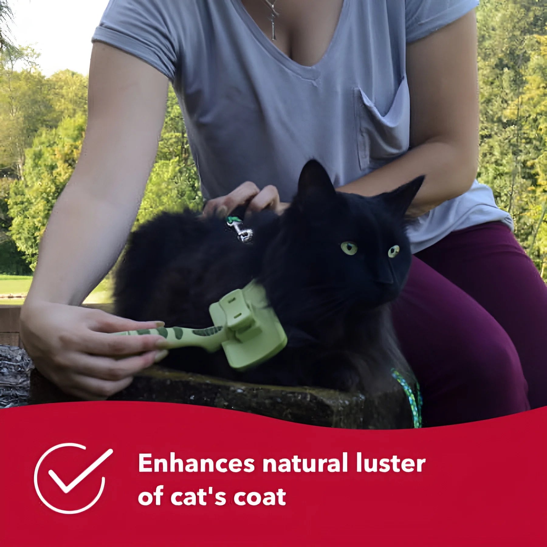 Safari - Cat Self-Cleaning Slicker Brush - Cat Grooming Supplies