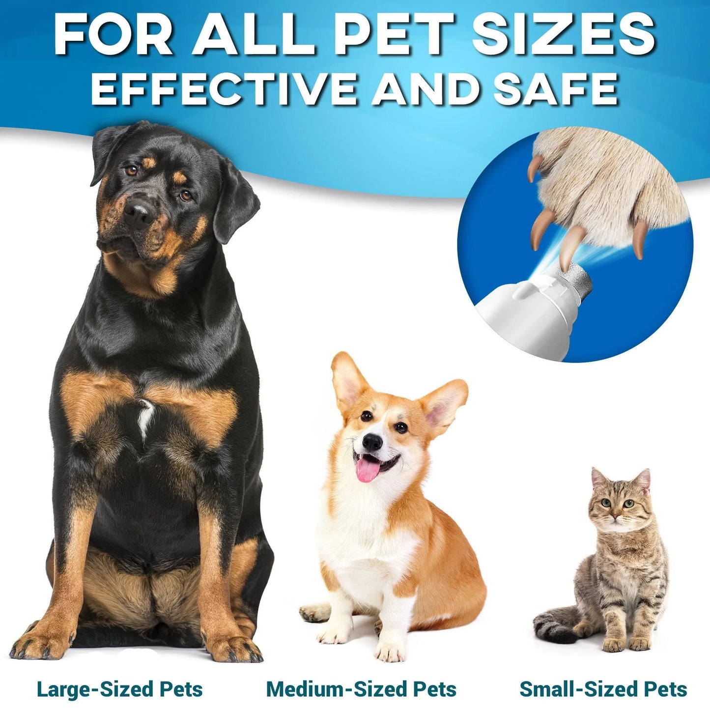 Dog Nail Grinder Replacement Head – Durable Diamond Grinding Wheel for Safe, Painless Pet Nail Trimming