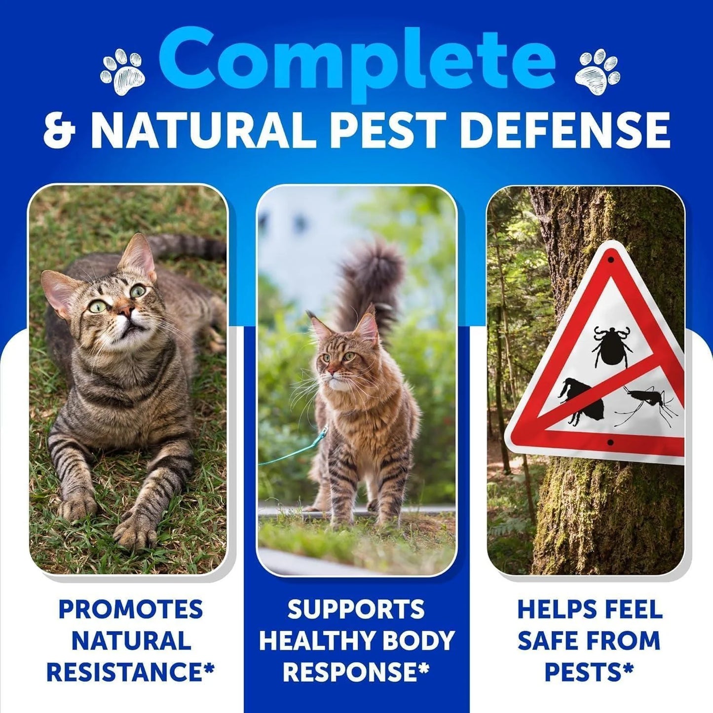 Natural Flea & Tick Prevention Chews for Cats – All-Natural, GMO-Free, Vitamin-Enriched