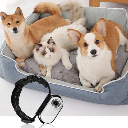 Pet Collar Camera with 120° Wide-Angle Lens – HD Video & Photo Recording, OTG Phone Connection, Adjustable Collar & Magnetic Clip